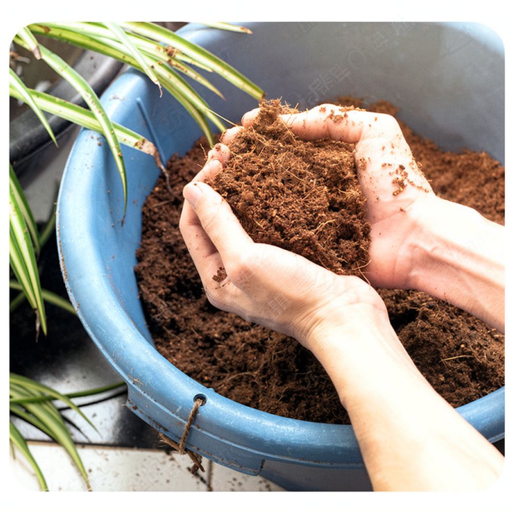 Substrato de fibra de coco de  - Substrate Coconut Fiber avaliação e preço