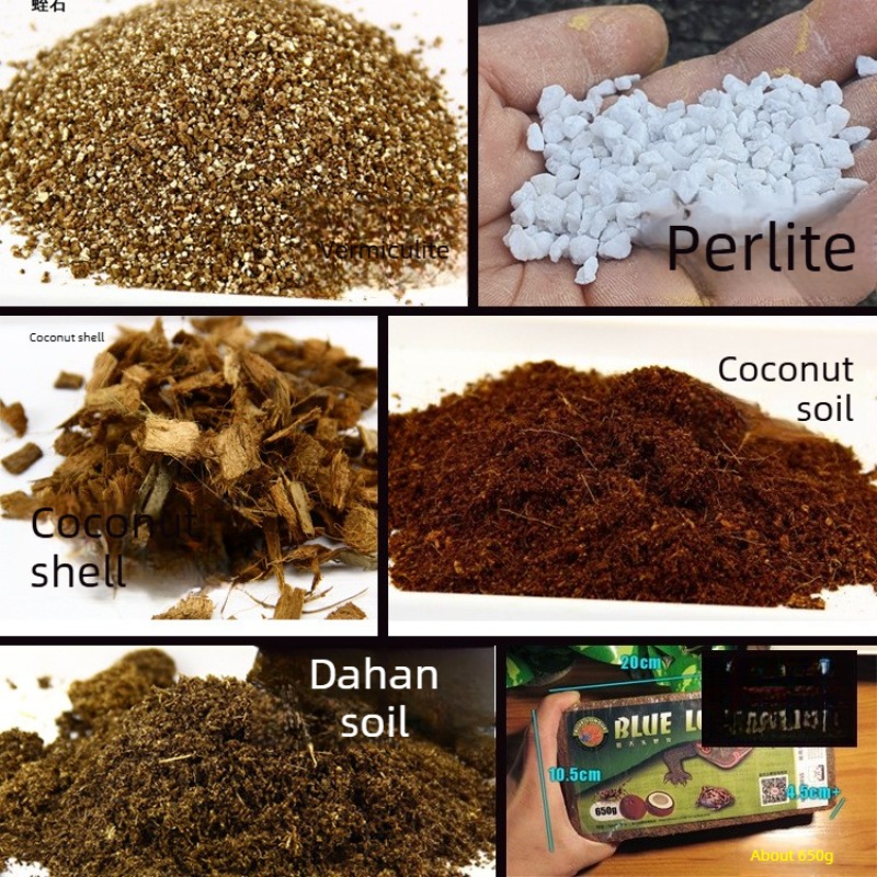 Substrato de Solo de Coco para - Substrate Coconut Fiber avaliação e preço